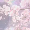 akozuhasanewa