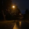 niorlki