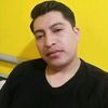 palomo534