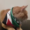 luigilgatto