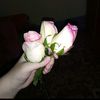 userhnin096