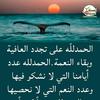 samer_abo_ftoha