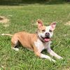 momma_to_hank