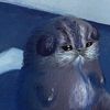 geraldhascats