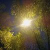 whtir_449ff