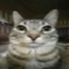 el_camotes64