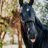 kays.equestrian