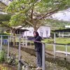 siti_nurafifah8