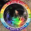 kittenfish13