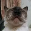 ikiy121221