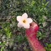 lizaislam183