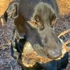angus2691