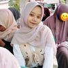 safira0.8