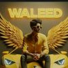 waleedking33333