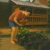 hensandroots