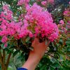 its_mahi43