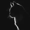 a_koye3