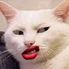 user7682evan