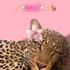 ✨️🕊NAZLï||نازلي✨️🕊🦌
