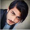 pagal_pathan10