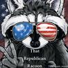 repub_racoon82