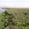 yasseraliraqi32