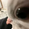 alowkeycheapdove_