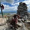 erlend_08_