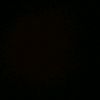 shahoda_ll