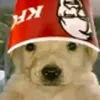 dogzin1847