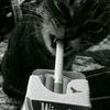 yeyo_feliz_
