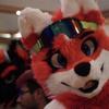 alexitothefox