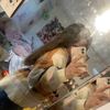 i_love_rudy237