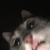calemlegitt