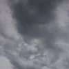 bskdiju