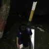 hamkaseff