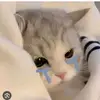 _iw.kt_25