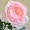 user667920063