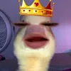lal_lal75