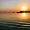 حياة بلا طعم
