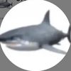 OtterSharks