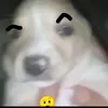 kevinhsxs