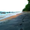 coqqkodok