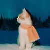 meomeo_s