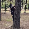 _yeloden