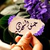 haano_507