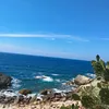taitran_111