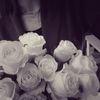 _vvid1