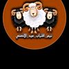 samirabbas358