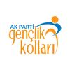 AK Parti Gençlik Kolları